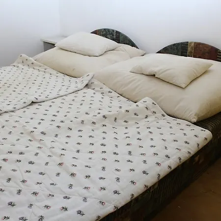 Anna Vendeghaz Harkan